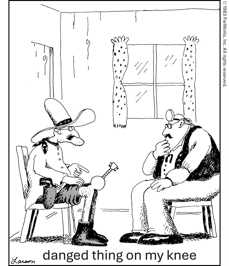 TommyEmmanuelMichaelCleveland2025-08-17GreenMountainBluegrassAndRootsFestivalVT (1).jpg